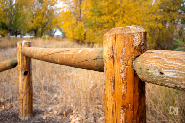 A park fence in Rexburg, Idaho